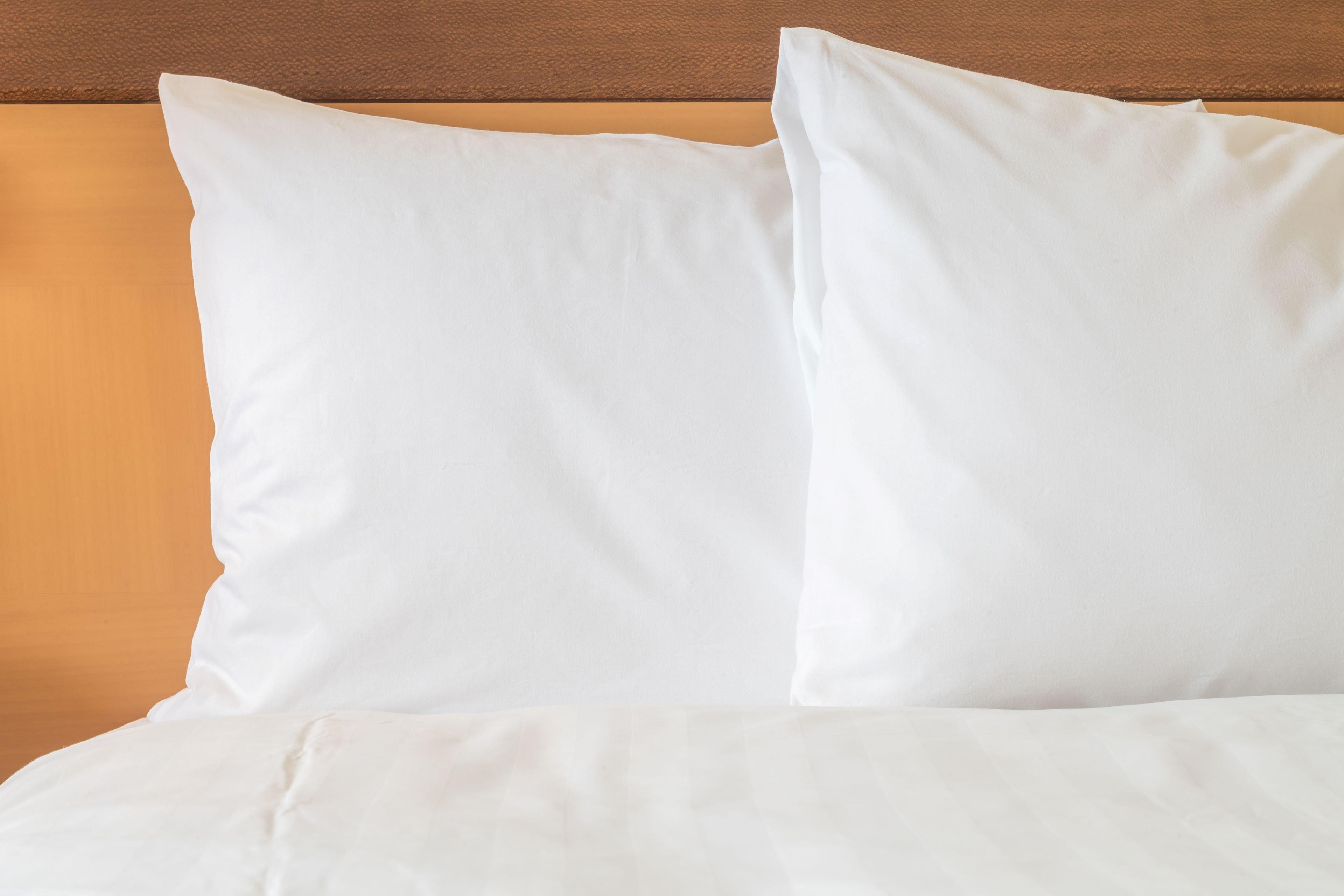 Holiday Inn Express Hotel Fort Campbell-Oak Grove By Ihg Buitenkant foto